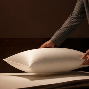 Silver-Ion Silk Pillowcase - White